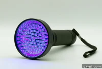 UV Light for Mold Removal Fact or Fiction