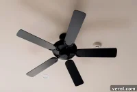 The Right Direction for Your Ceiling Fan