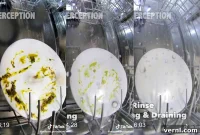 The Hidden World Inside Your Dishwasher
