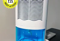 Gocheer Dehumidifier: Our Top Home Product of 2024