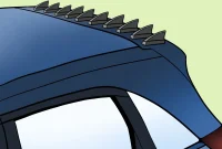 Multiple Shark Fins on Cars: Function and Purpose