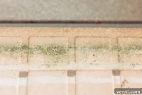 Heat vs Mold An Expert’s Definitive Answer