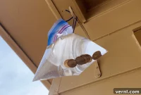 The Unexpected Purpose of Pennies in Water Bags