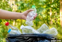 Recycle Smart: Why Leaving Caps On Makes a Difference
