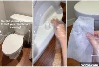 Effortless Toilet Cleaning with a Used Dryer Sheet