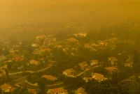 Breathe Easy Your Guide to Wildfire Smoke Protection