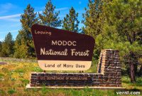 Public Lands Collecting: What’s Fair Game, From Pebbles to Petals