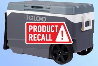 Igloo’s Massive Recall: 1 Million Coolers Pose Severed Fingertip Threat