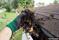 The Ultimate Gutter Cleaning Guide