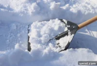When to Hang Up Your Snow Shovel