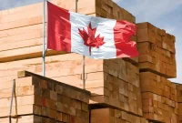 Why America’s Buildings Stand on Canadian Wood