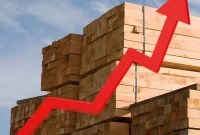 Why Wood Prices Are Exploding Again