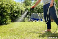 Cultivate Your Dream Lawn: New Grass Seed Watering Secrets
