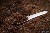 The Coffee Ground Advantage: Cultivating Thriving Plants