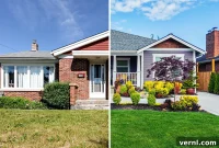 The Greener Side of the Fence: Cultivating Your Perfect Lawn