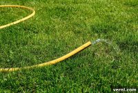 Fluid Siphoning: Expert Techniques and Safety Warnings