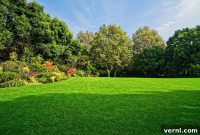 The Ultimate Seasonal Lawn Transformation