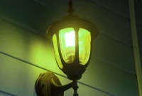 Decoding Green Porch Lights