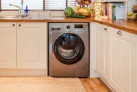 The Curious Case of Kitchen Washing Machines