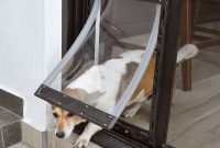 Don’t Let Your Dog Door Be a Weak Link