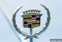 The Mystery of Cadillac’s Missing Ducks
