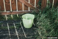 The Viral Bucket of Doom: A Real Mosquito Solution or Just Hype?