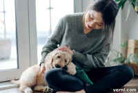 Preparing Your Home for a New Canine Companion