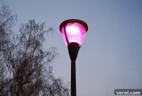 Purple Street Lights The Surprising Truth Revealed
