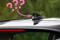 Hidden Gems of Automotive Trivia