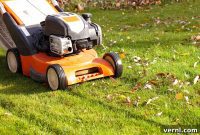 Unlock a Greener Spring: The Power of Fall Lawn Maintenance