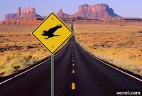 11 Bizarre Driving Laws Still on the Books