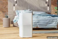 Clean Air Claims Do Purifiers Live Up to the Hype