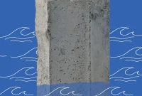 Mollusk Shells Unlock the Future of Super-Strong Concrete