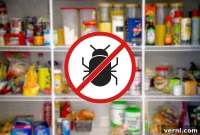 Fortifying Your Food Haven: Top Tips for a Pest-Free Pantry