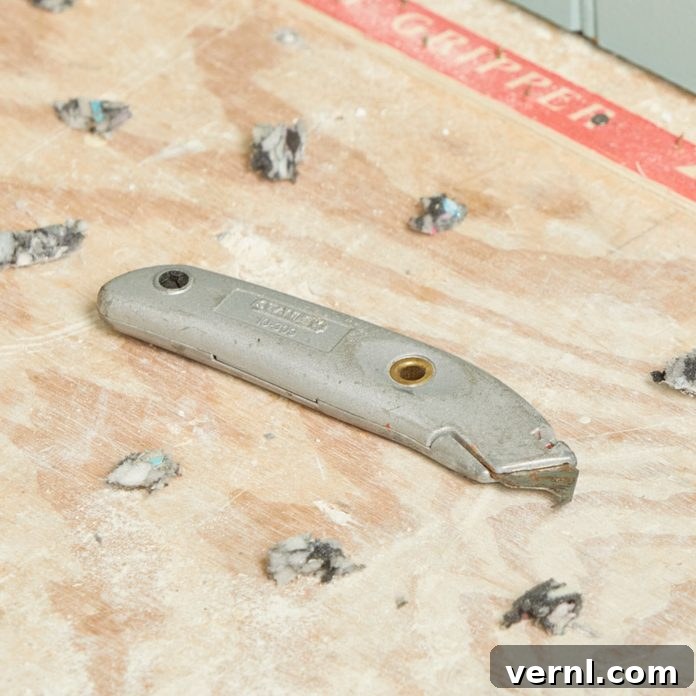 HH hook blade staple remover