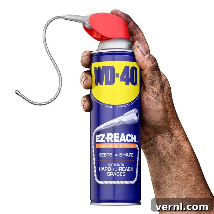 Unstick Your Tub Spout Diverter 3 wd-40 ez-reach nozzle