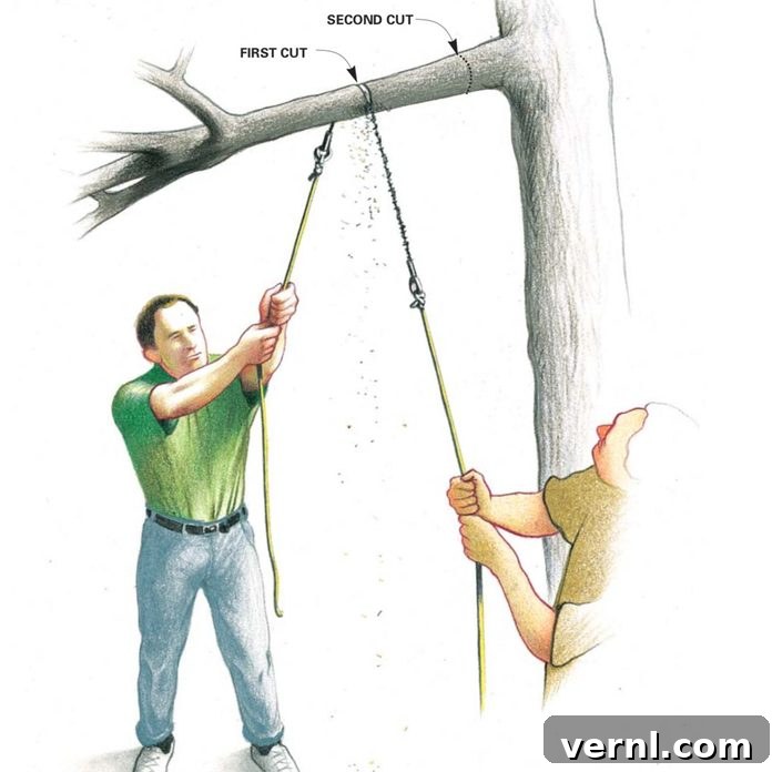 Effective Tree Trimming with a Rope Saw for hard-to-reach branches