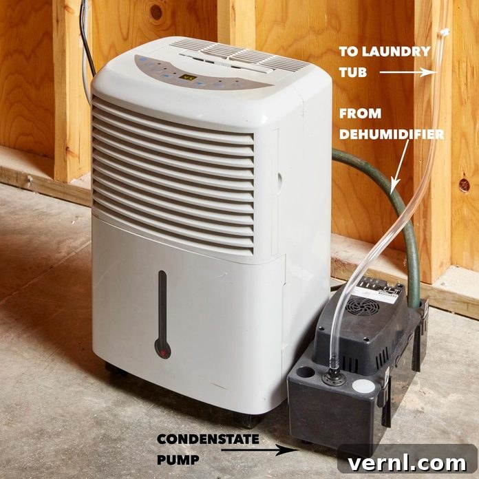 Smart DIY Self-Draining Dehumidifier Save Money and Effort 2 self-draining dehumidifier HH
