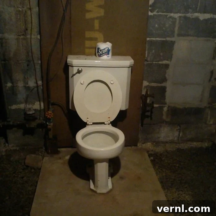 toilet