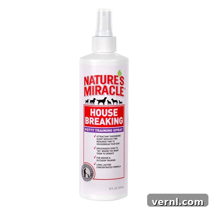 The Smart Spray for Spot-On Dog Potty Training 2 A dog, possibly a Golden Retriever puppy, sniffing a designated outdoor potty training pad or area, indicating interest in the spot treated with Nature's Miracle Housebreaking Spray.