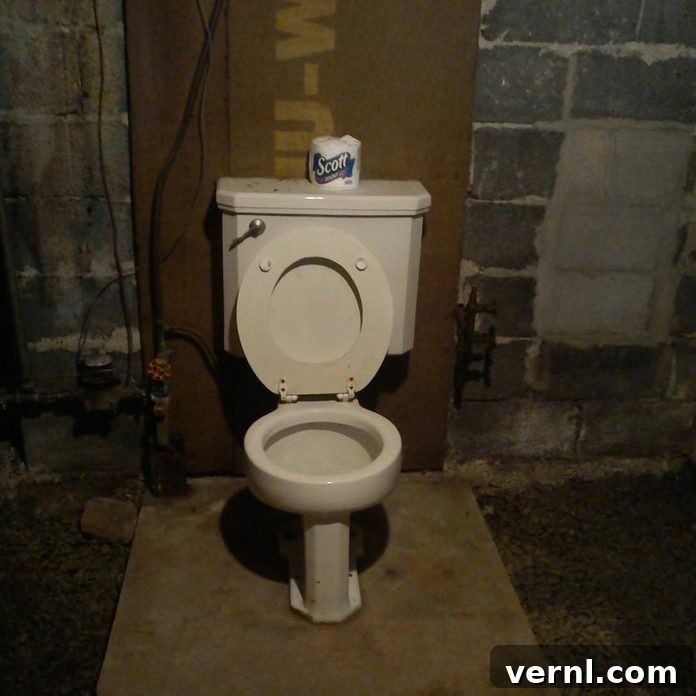 Basement Toilet