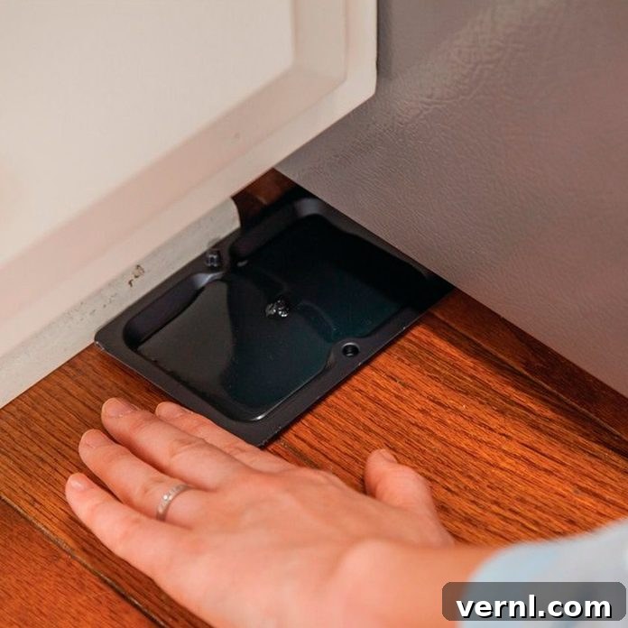 Are Glue Traps Truly Effective? 2 trap