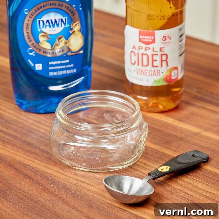 Homemade apple cider vinegar gnat trap with dish soap