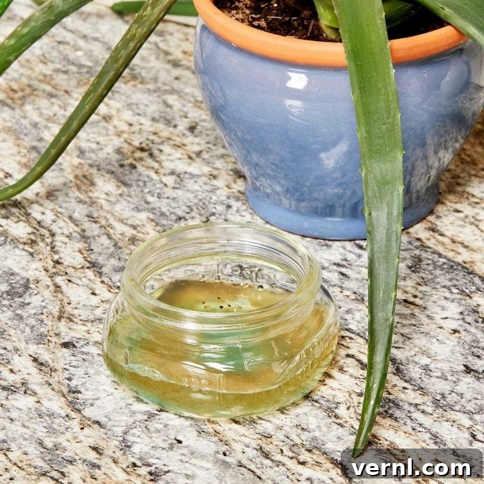 Homemade vinegar and dish soap gnat trap