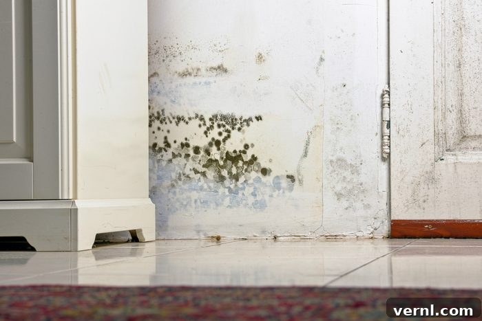 Mold in Your Crawlspace: A Cause for Concern? 2 Preventing Mold in Your Crawl Space