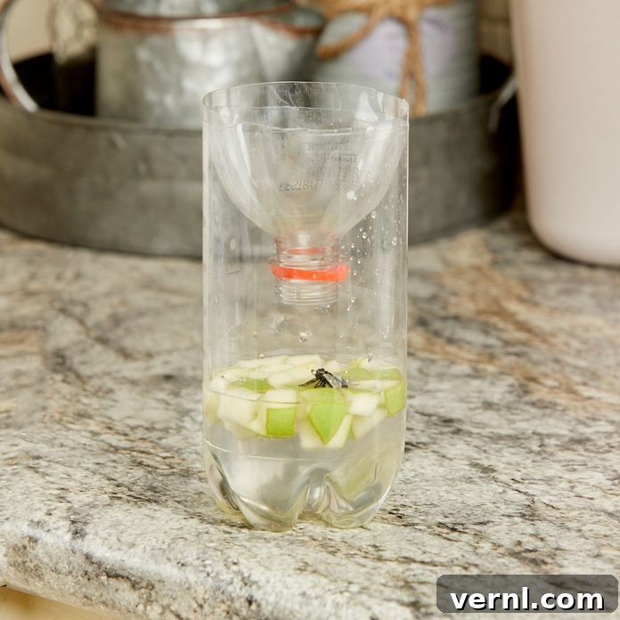 Easy Homemade Fly Trap You Can Build Today 2 HH handy hint soda bottle fly trap apple chunks