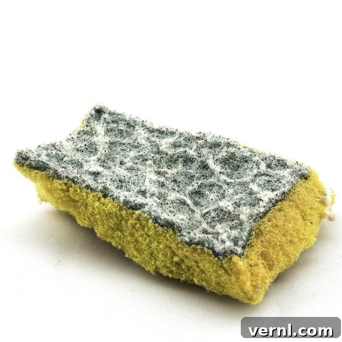 Kitchen Sponge