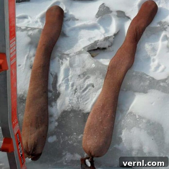 We Put the Ice Dam Pantyhose Hack to the Test Our Results 2 Pantyhose with salt on roof