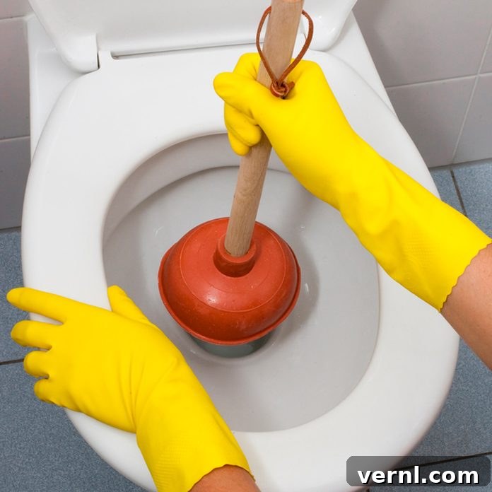 how to clean a toilet plunger