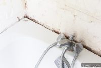 Stop Guessing The Truth About Bathtub Cleaning Frequency